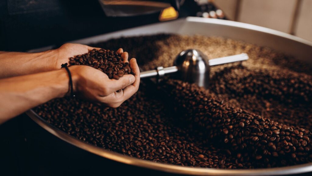 Types of Coffee Beans: A Beginner’s Guide for Coffee Shop Owners (2026)